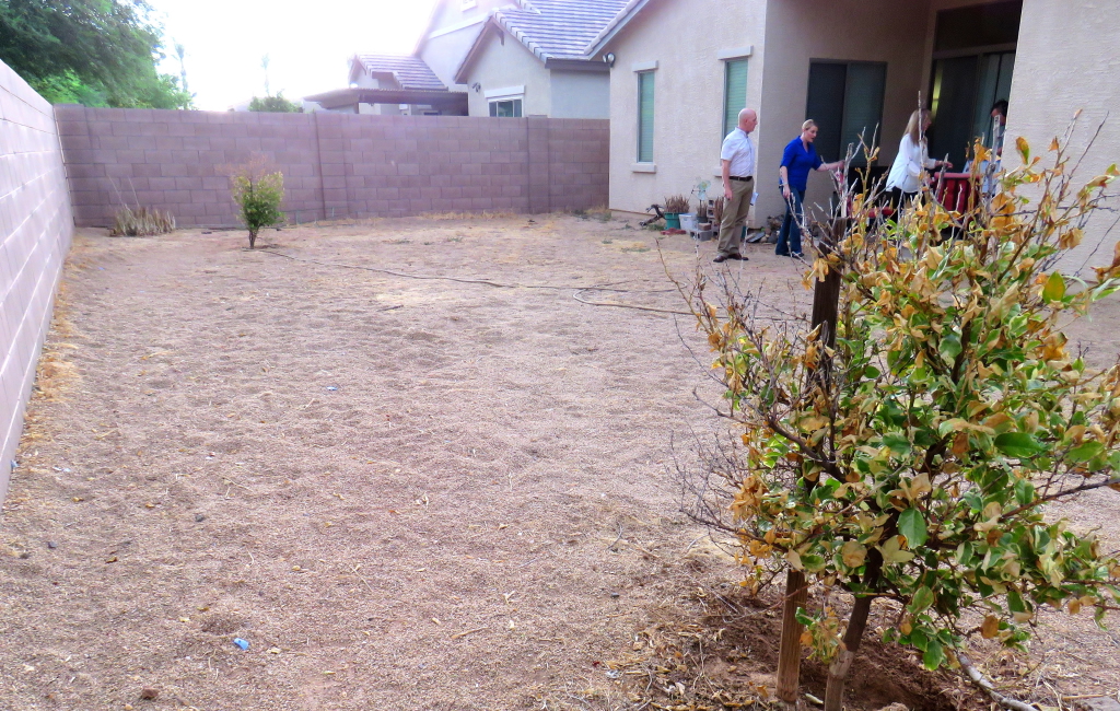 Lisa's drab backyard before it was transformed