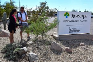 Mesa Community College Xeriscape Demonstration Garden sign