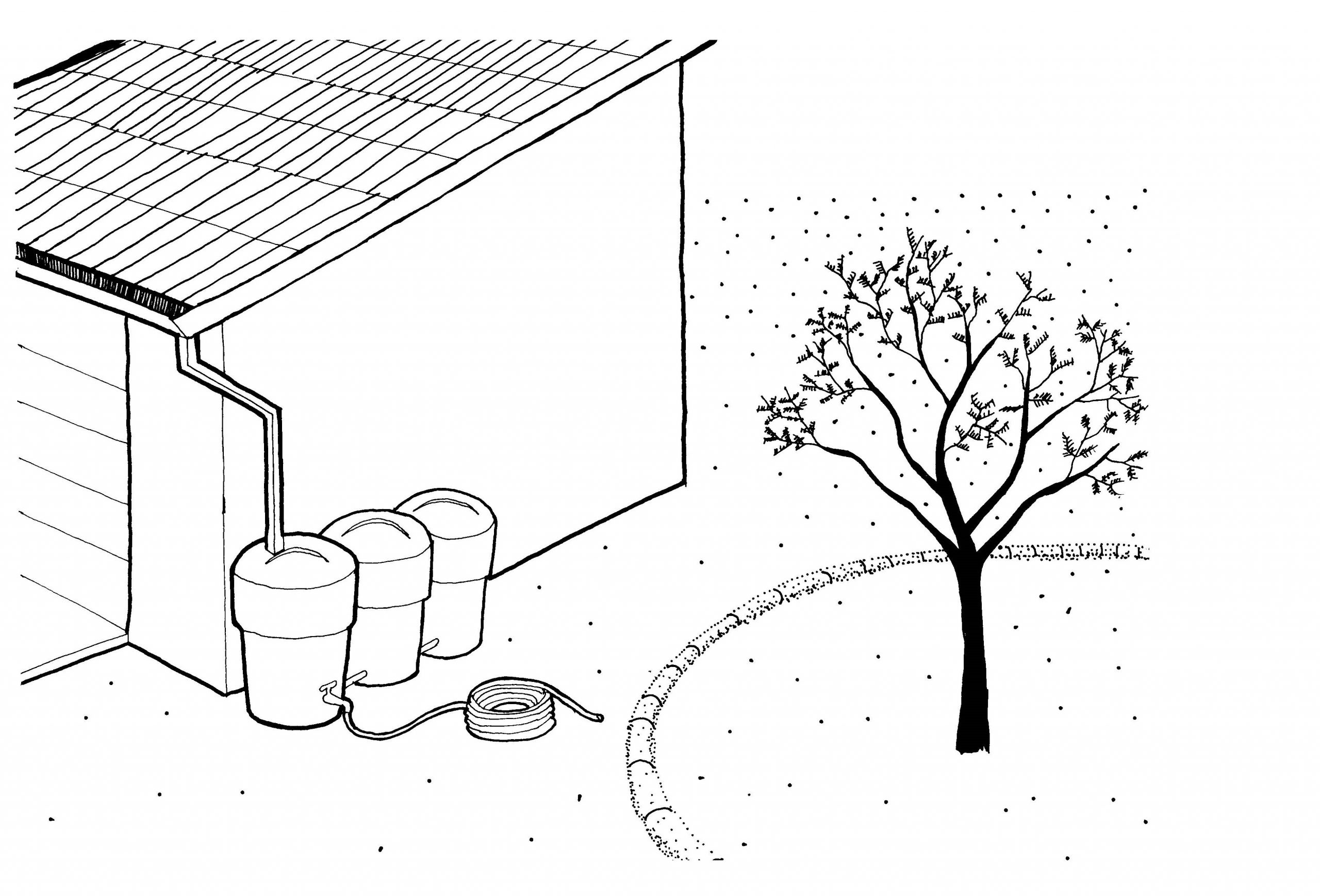 Diagram of water catchment system using gutters from rooftop and barrels.