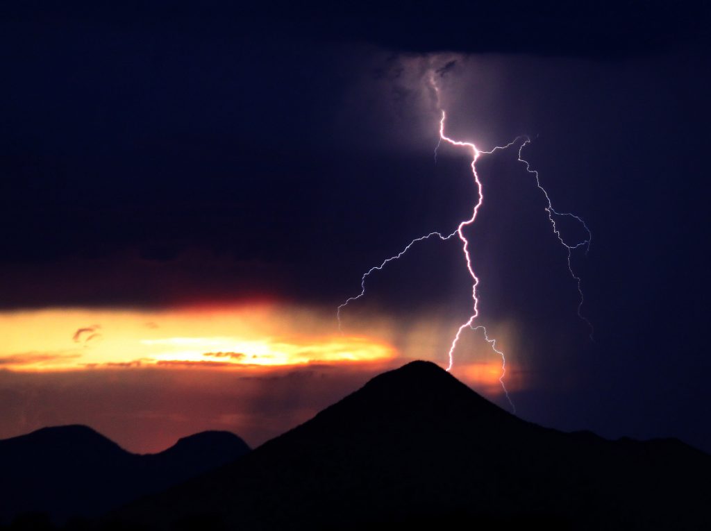 Save your trees from monsoon damage